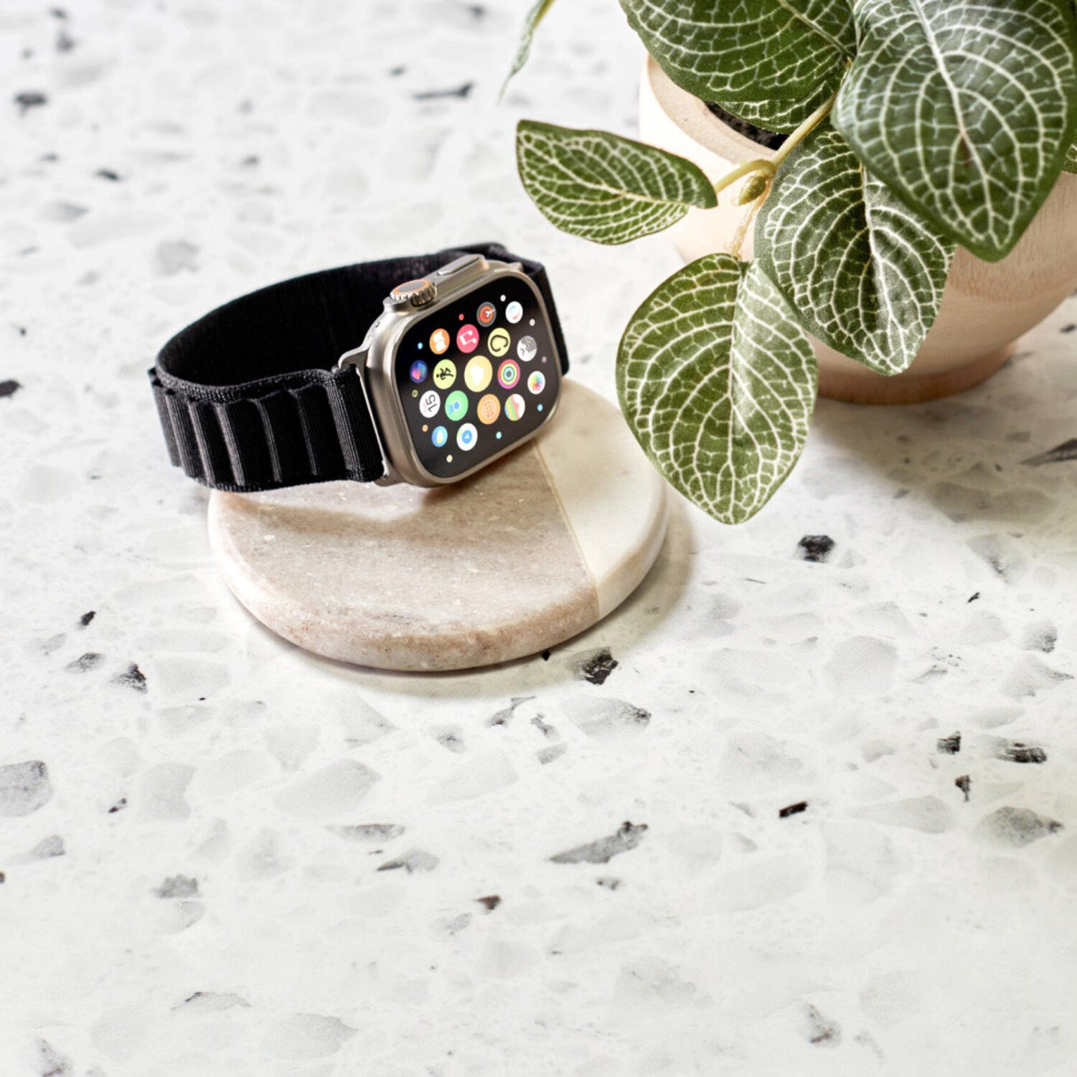 jpg_1500x1500_54079289
