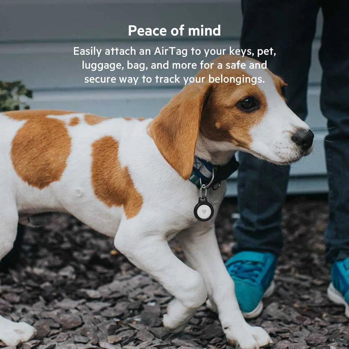 jpg_1500x1500_51567826