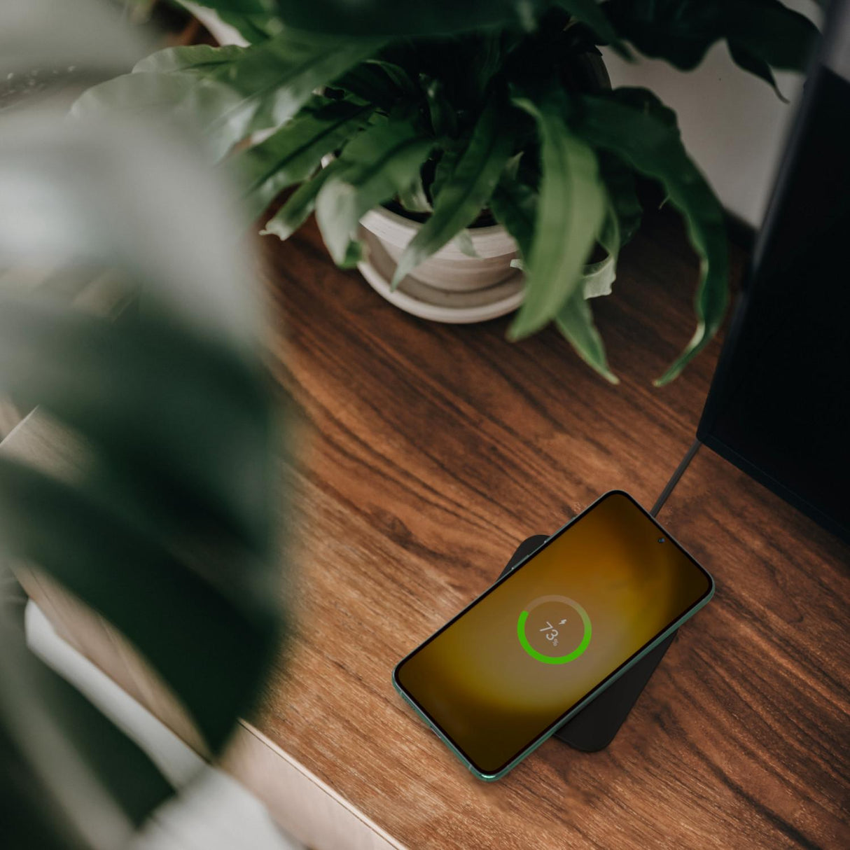 jpg_1500x1500_57433300