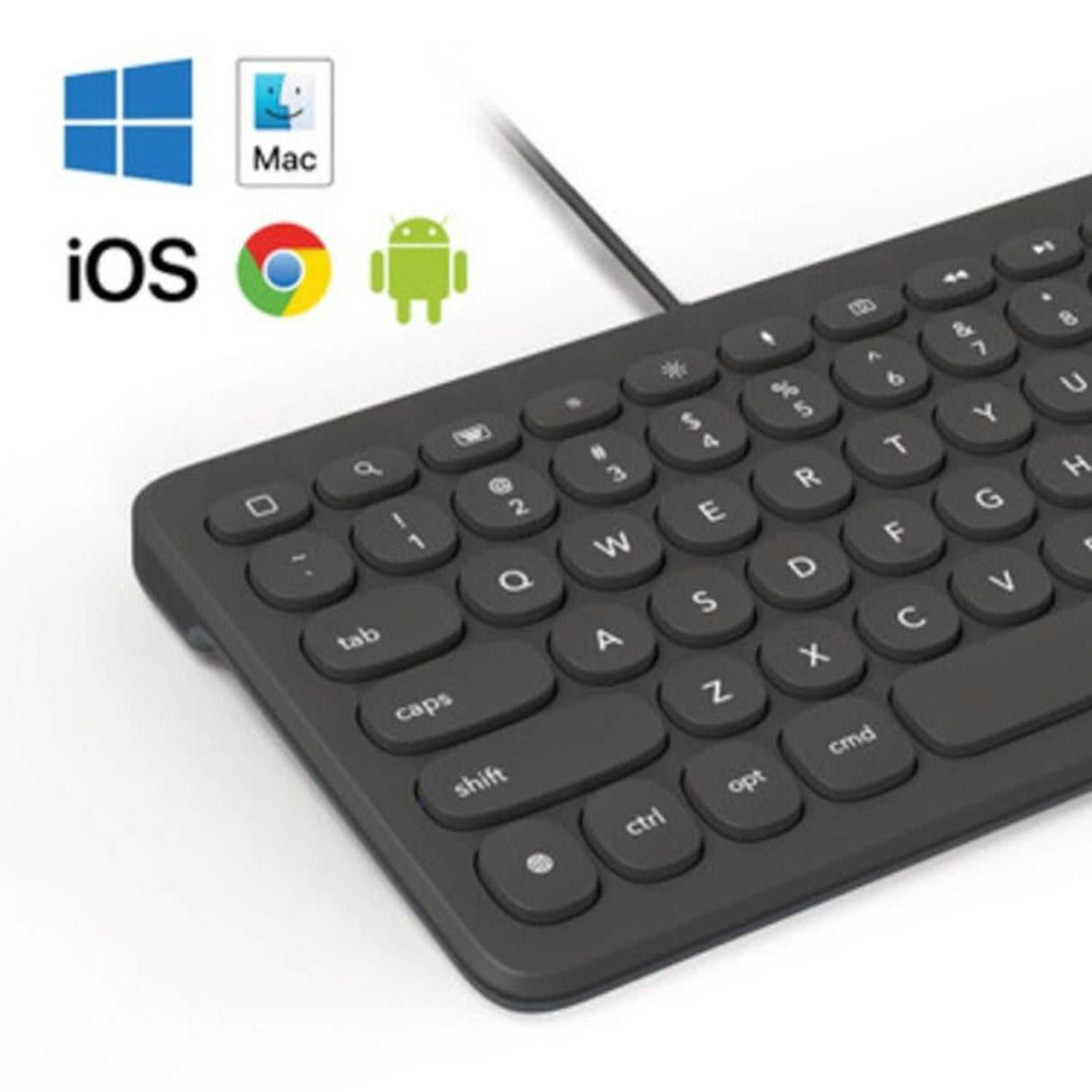 jpg_1500x1500_56225881