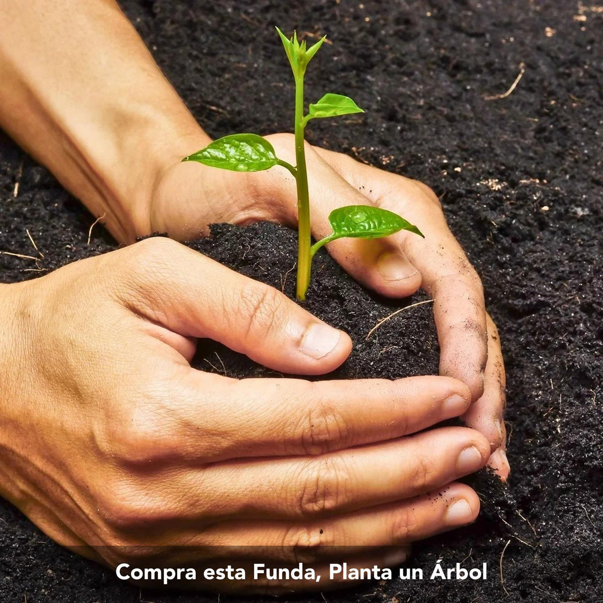 jpg_1500x1500_51749803